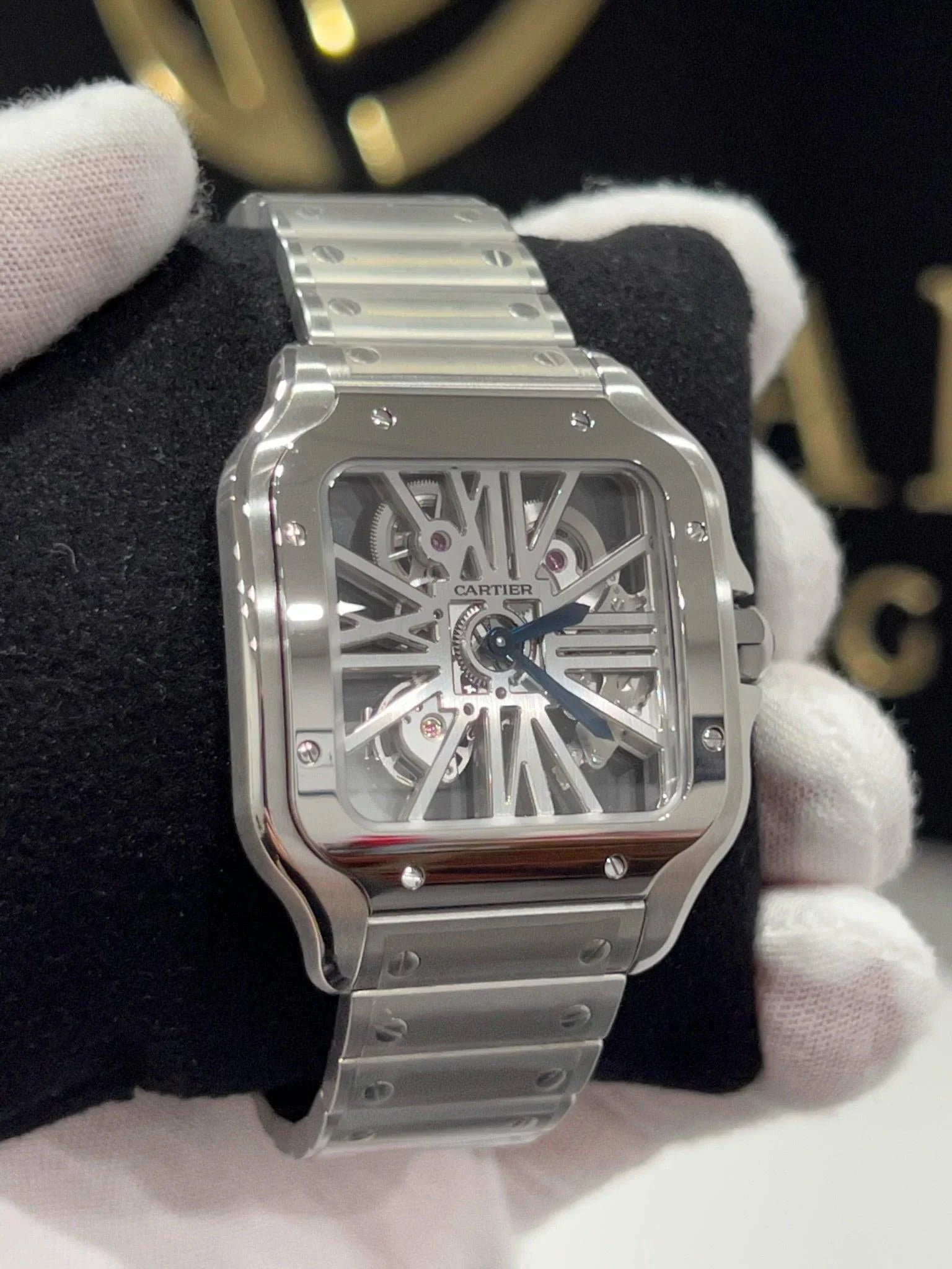 CARTIER SANTOS DE CARTIER SKELETON WHSA0015